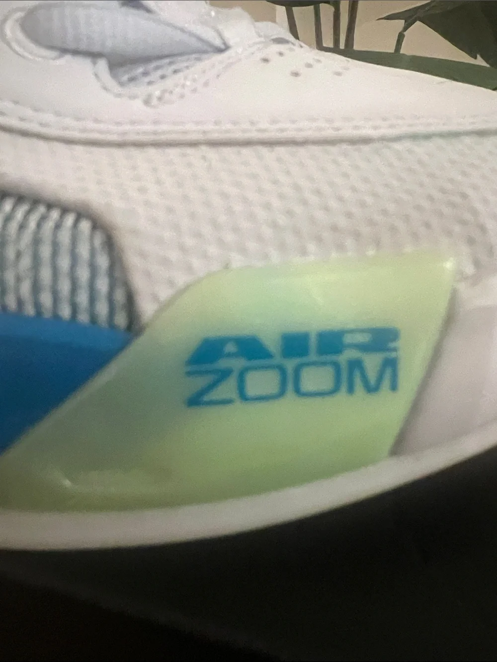 Jordan Men’s White Blue Green Low-Top Sneakers